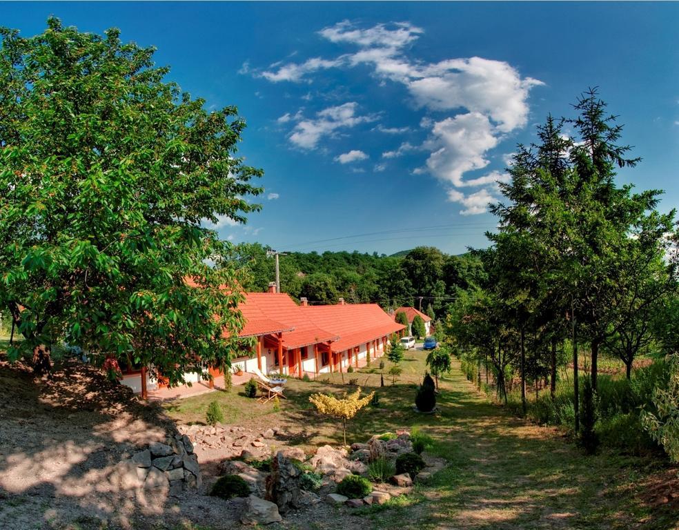 Nyitott Kapu Vendégház Felsőtárkány Exterior foto